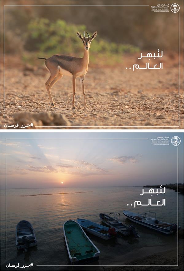 تسجيل جزر فرسان في اليونسكو