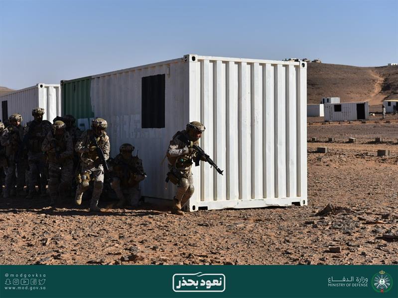 القوات البرية