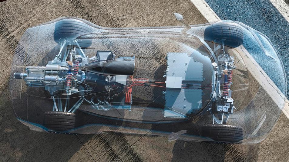 بالصور.. بالصور..