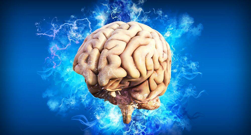 أخطر 9 أطعمة على المخ... من بينها الجبن
