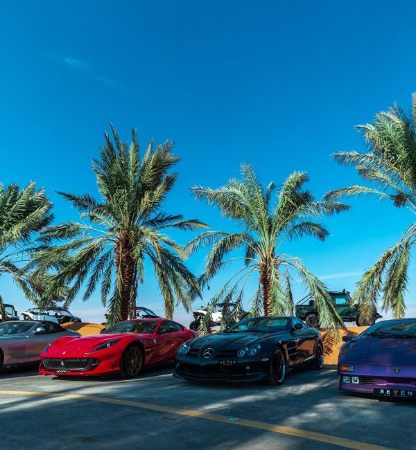 اوايسس الرياض اوايسس الرياض