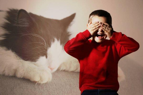  فوبيا الحيوانات