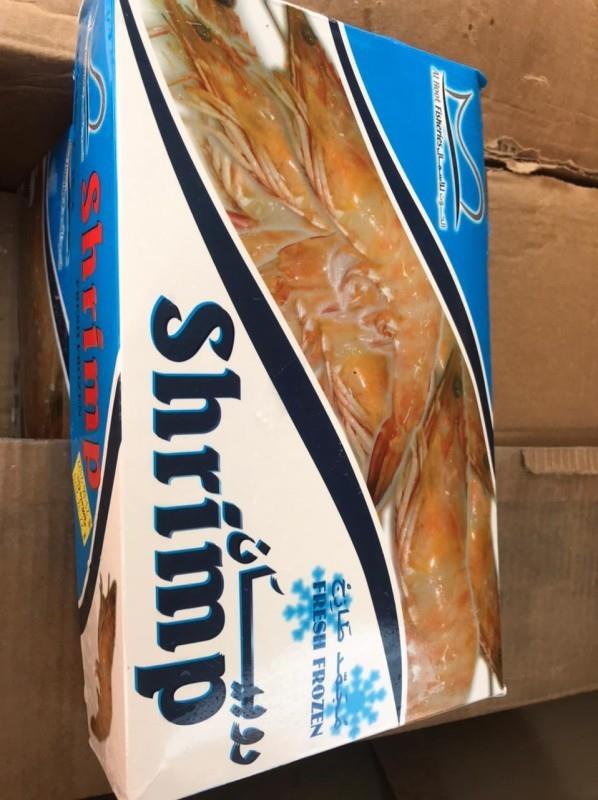 الخرج: مصادرة 111.5 كيلو من الأسماك والروبيان