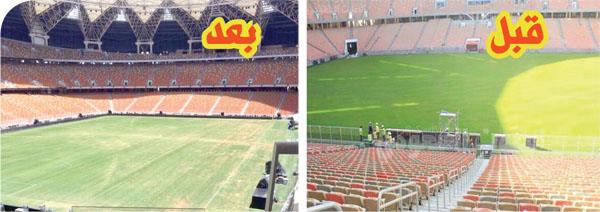 (الدود) يتلف أرضية الجوهرة