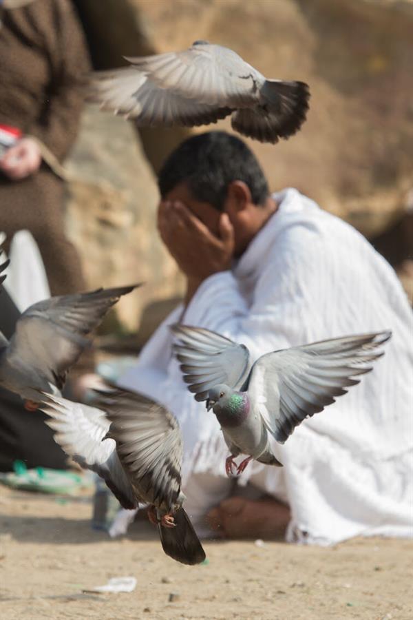 أجمل لقطات الحج في صور استثنائية.. روحانية المكان وسكينة المشاعر