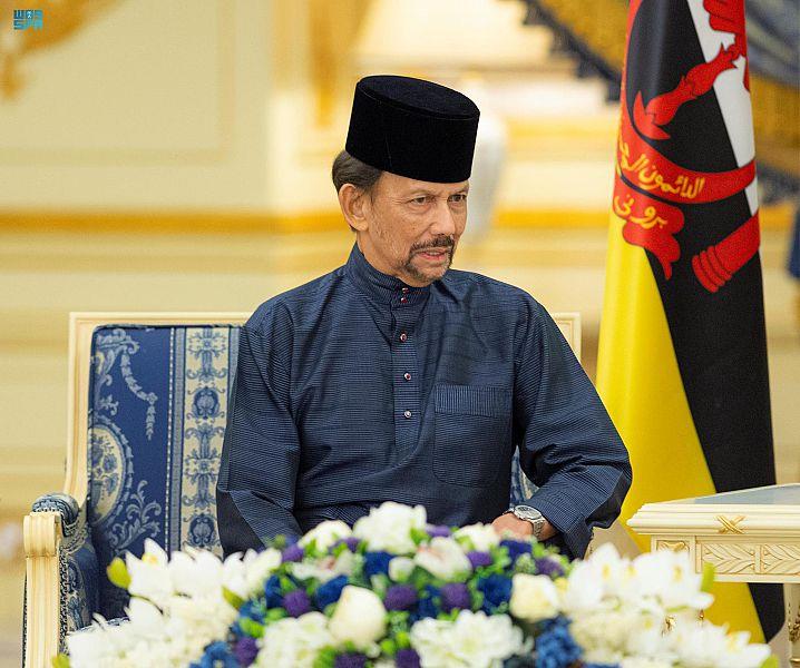 ولي العهد يبحث مع سلطان بروناي سبل تطوير التعاون ولي العهد يبحث مع سلطان بروناي سبل تطوير التعاون