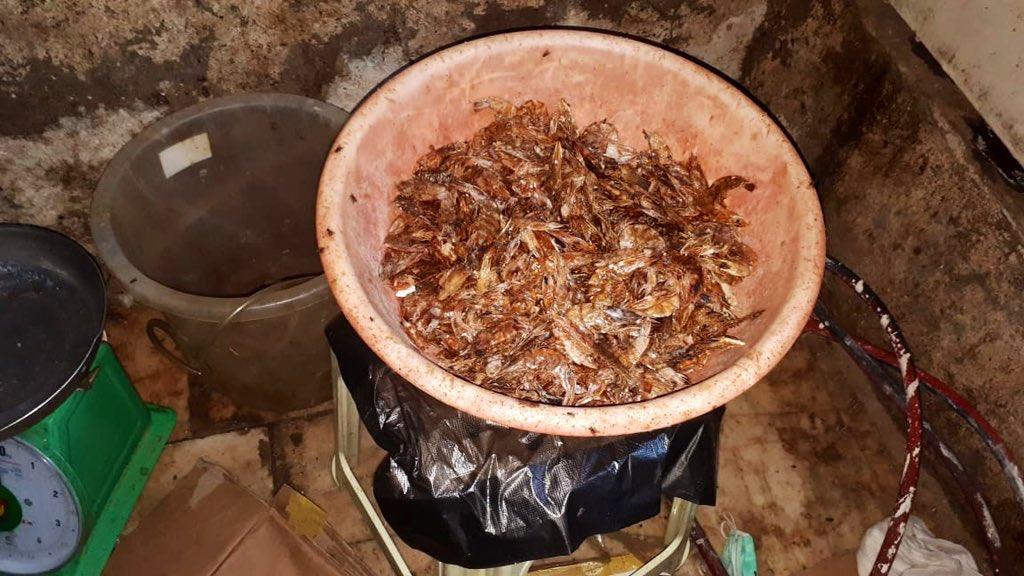 ضبط 23 طناً من المواد الغذائية الفاسدة داخل 5 عمائر بـ