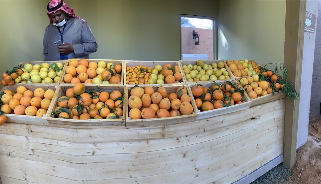 مهرجان الحمضيات بالعلا