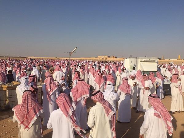 بالفيديو والصور.. 