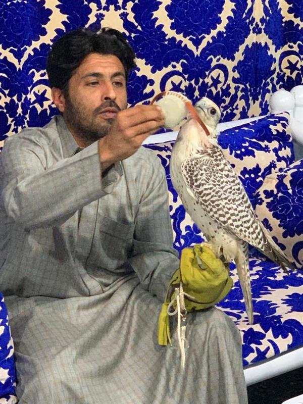 الأمير محمد بن فيصل