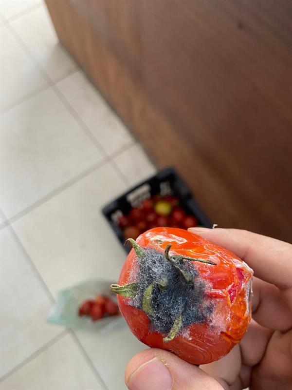 بلدية وادي جازان