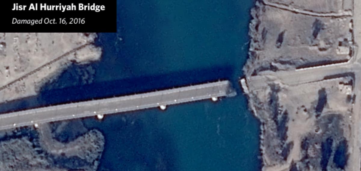 الصور الصور