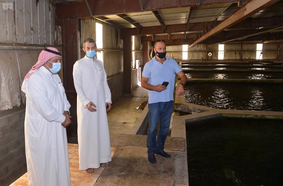 مزارع الاستزراع السمكي 