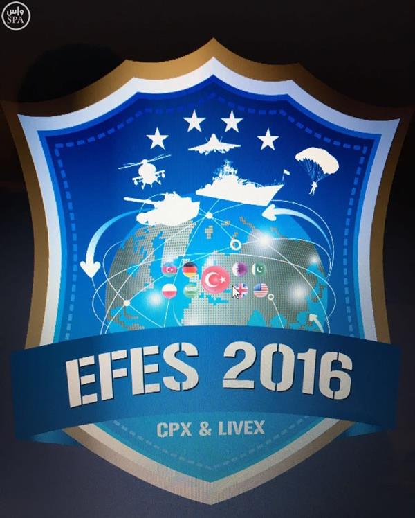 الصور الصور