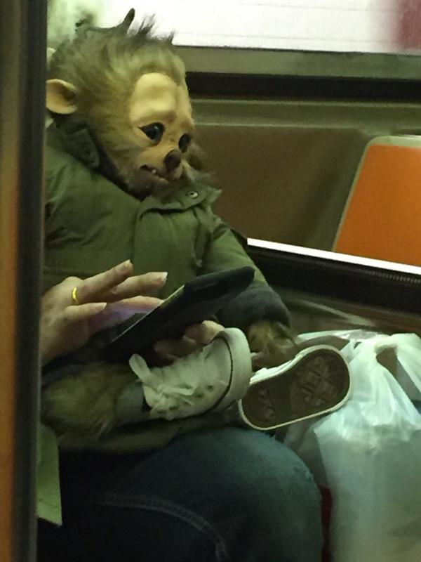 دمية مخيفة تظهر في 