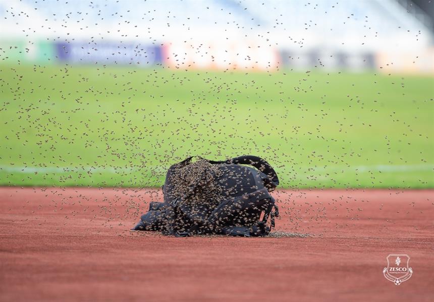 الدوري الزامبي