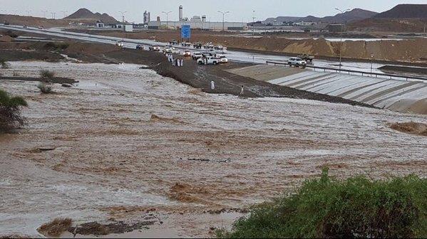 بالفيديو والصور.. أمطار وسيول بعدد من الأودية بمنطقة تبوك صباح اليوم