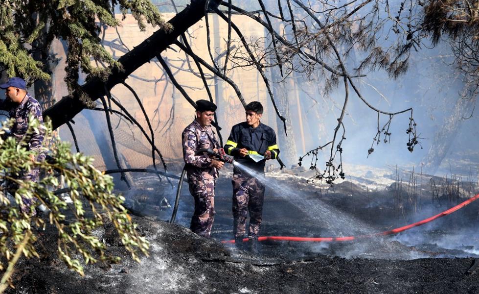 شاهد.. اندلاع حريق كبير في الأردن وهروب خيول من الإسطبلات القريبة