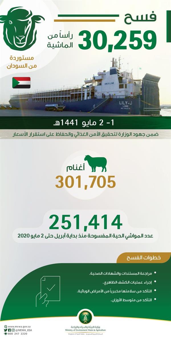 "البيئة": فسح أكثر من 30 ألف رأس من الماشية قادمة من السودان