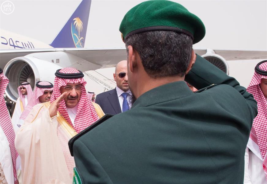 الصور الصور