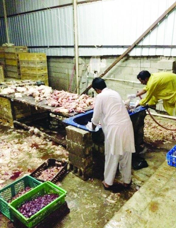 صورة من المسلخ