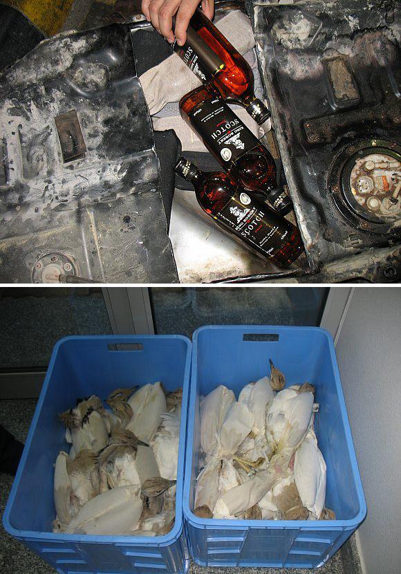 احباط تهريب