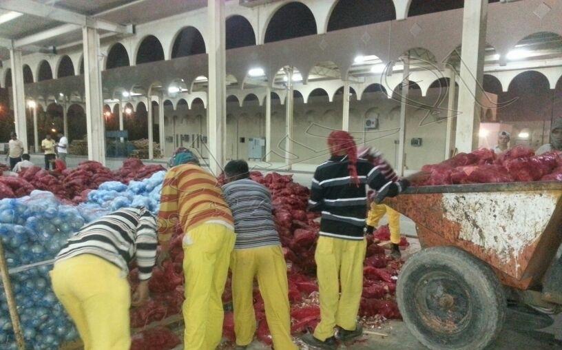 مراقبة الاسواق