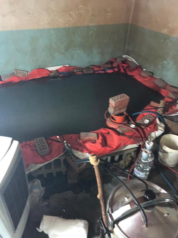 الصور الصور