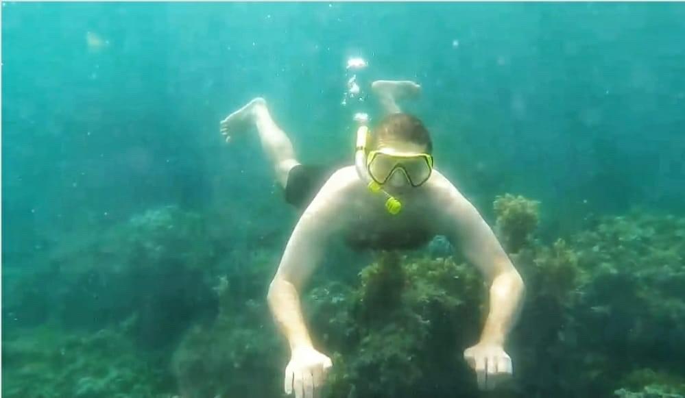 غواص يرصد حياة المخلوقات البحرية في أعماق البحر بجزر فرسان