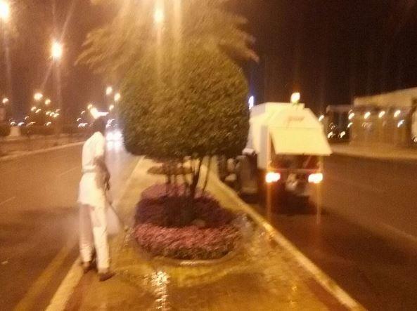 شاب سعودي يرافق عمال 