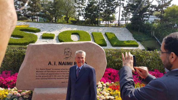 الصور الصور