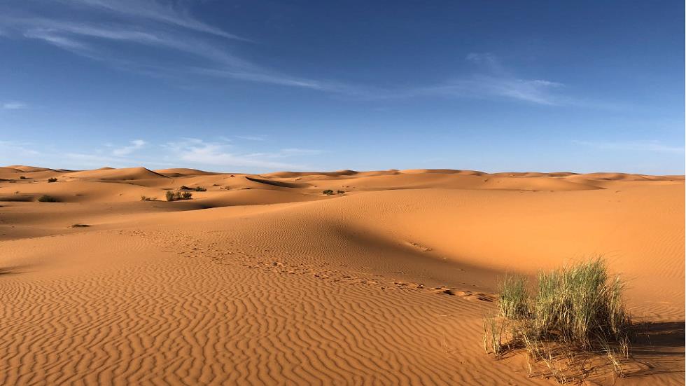 الصحراء