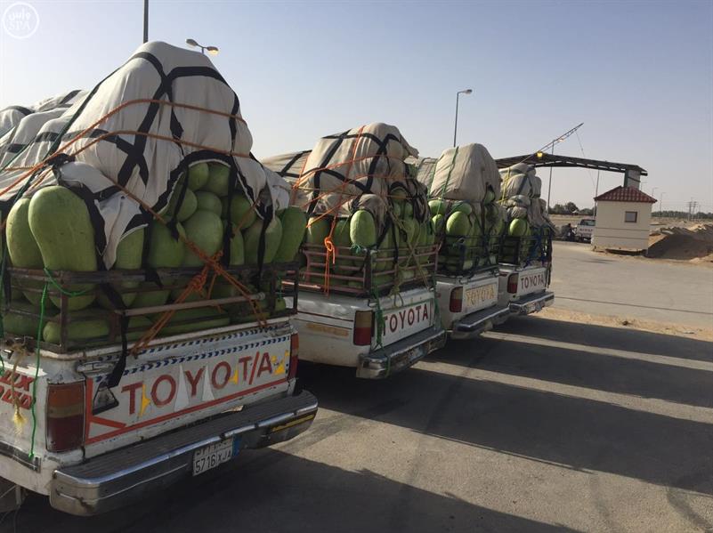 500 مركبة تنقل يوميًا حبحب وادي الدواسر للسوق 500 مركبة تنقل يوميًا حبحب وادي الدواسر للسوق