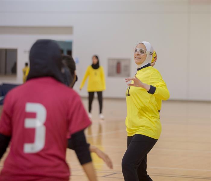 دوري السيدات لكرة اليد