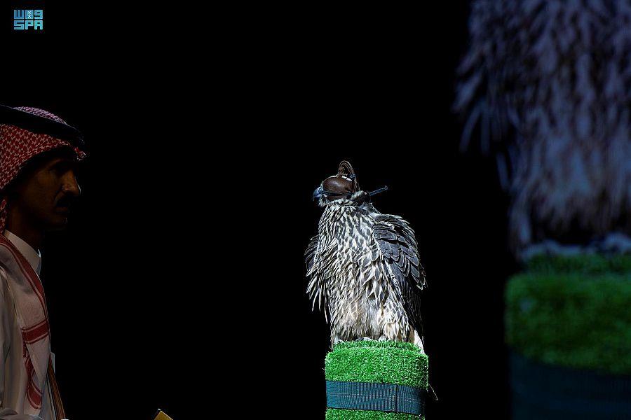 بيع صقرين بـ71 ألف ريال في المزاد الدولي لإنتاج الصقور بالرياض