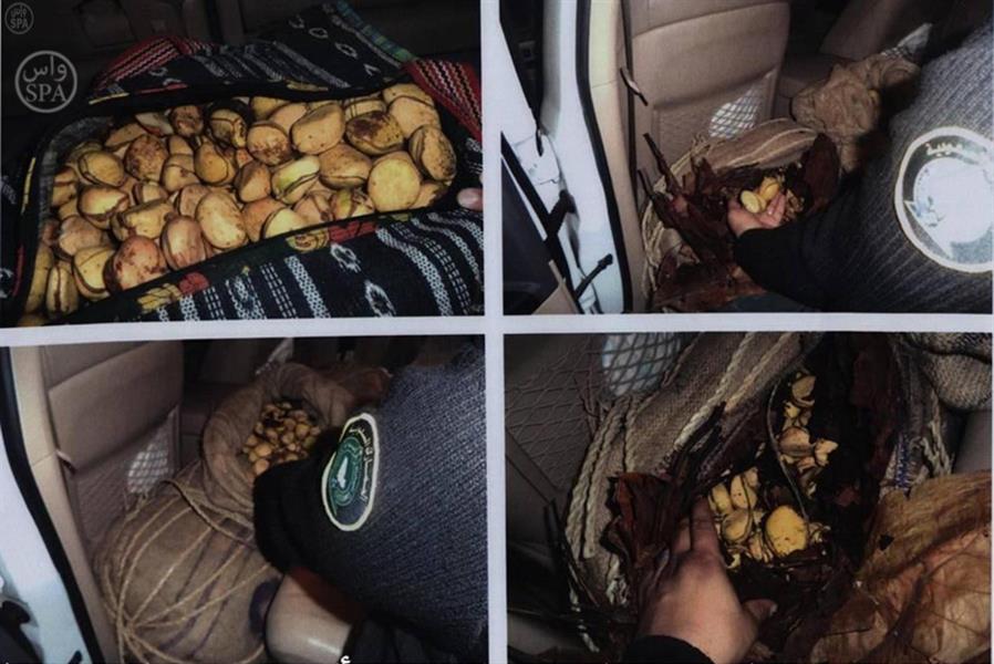 احباط  تهريب ثمار 