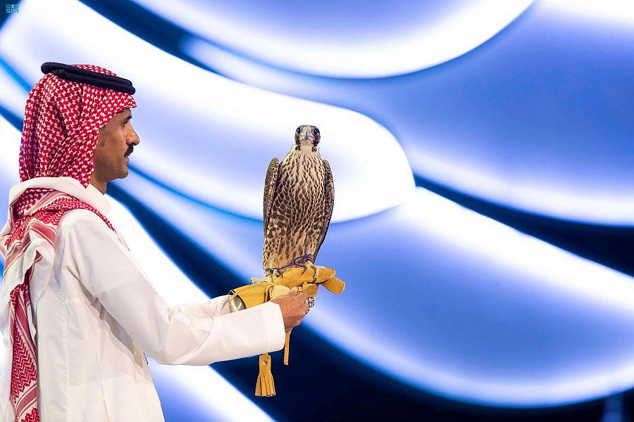 نادي الصقور