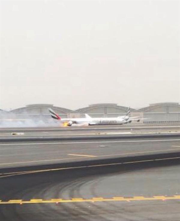 الصور الصور