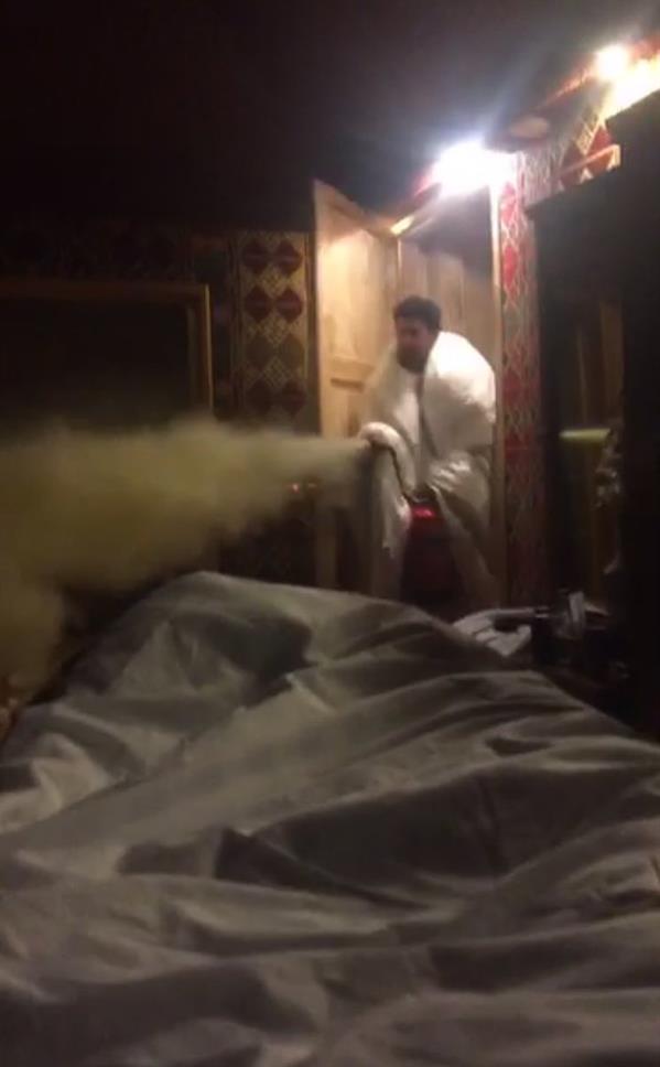 الصور الصور