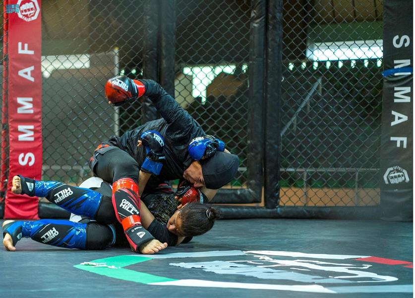 بطولة فنون القتال المتنوع بطولة فنون القتال المتنوع