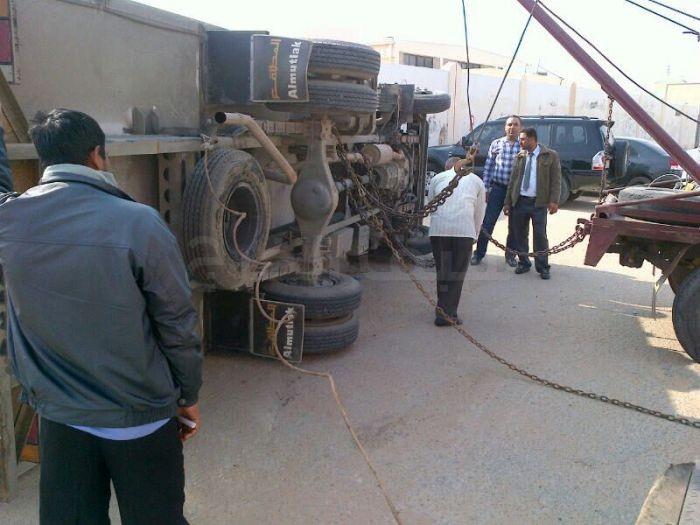  انقلاب دينا دجاج الوطنية 