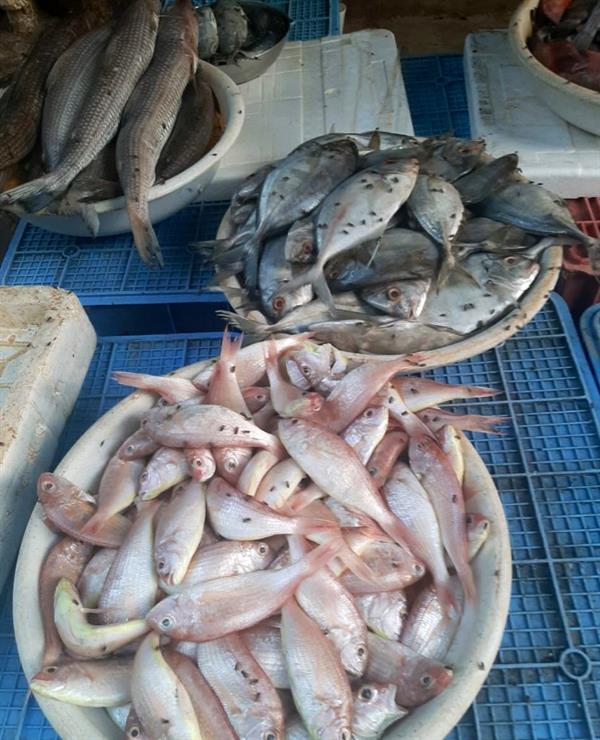 مصادرة وإتلاف ملابس مستعملة وإغلاق 13 منشأة مخالفة بمكة