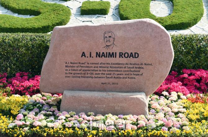 الصور الصور