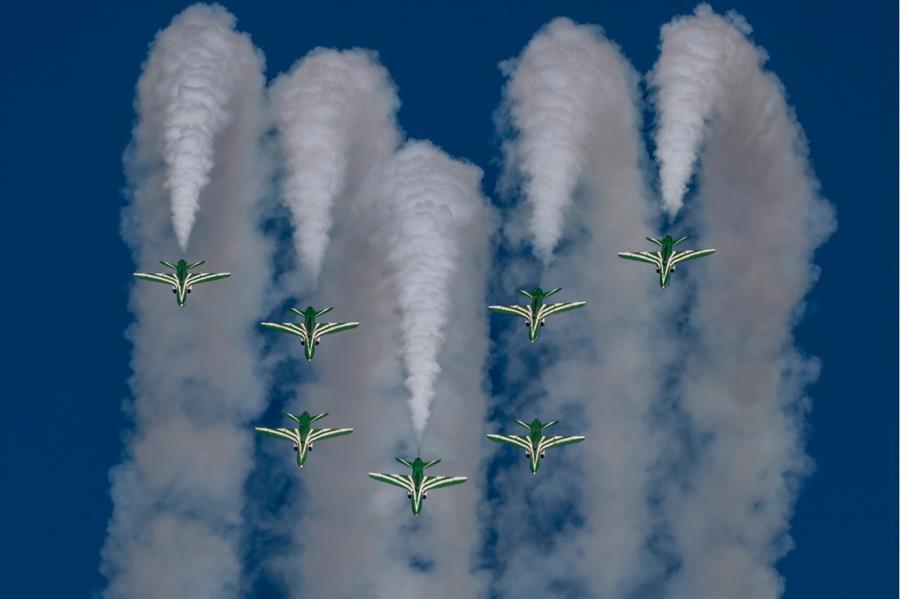 الصقور السعودية