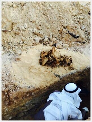 رفات الجثمان