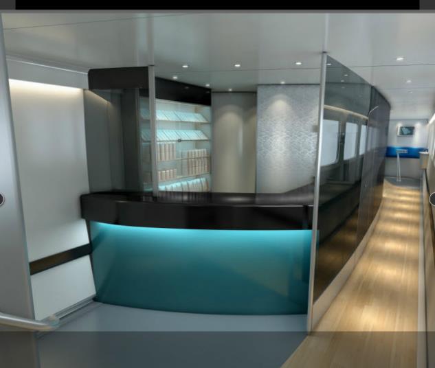 الصور الصور