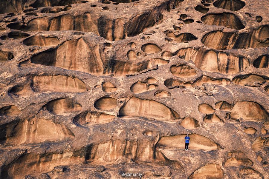تصوير إبراهيم سرحان تصوير إبراهيم سرحان