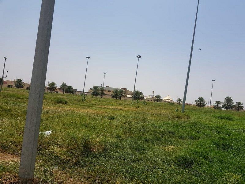  انتشار الزواحف والثعابين بحدائق الحصمة في جازان