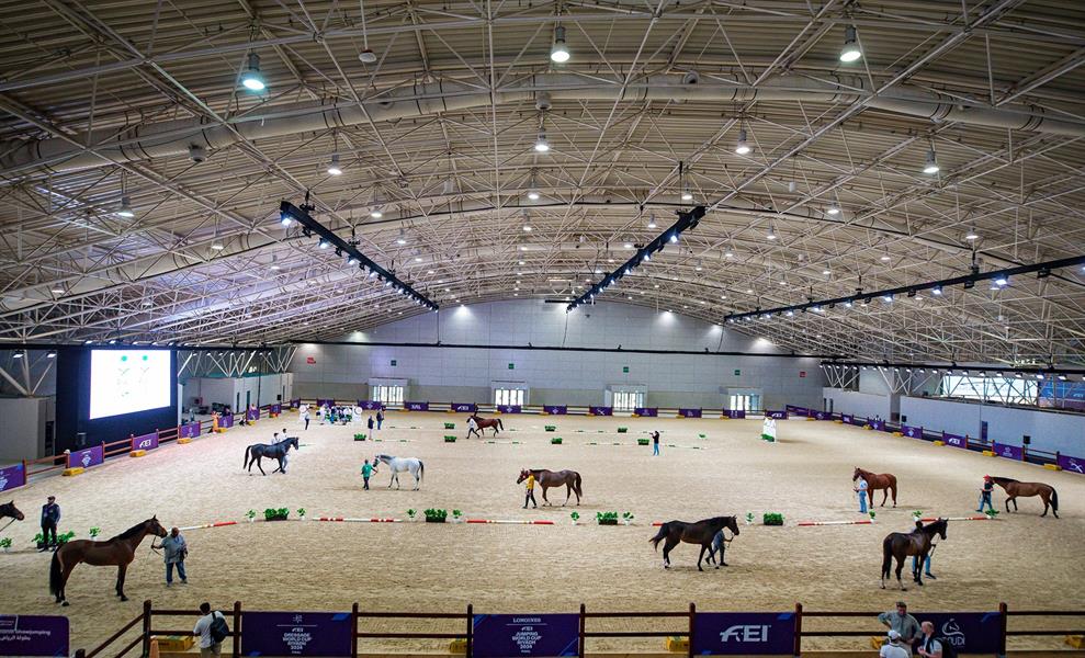 قفز الحواجز والترويض