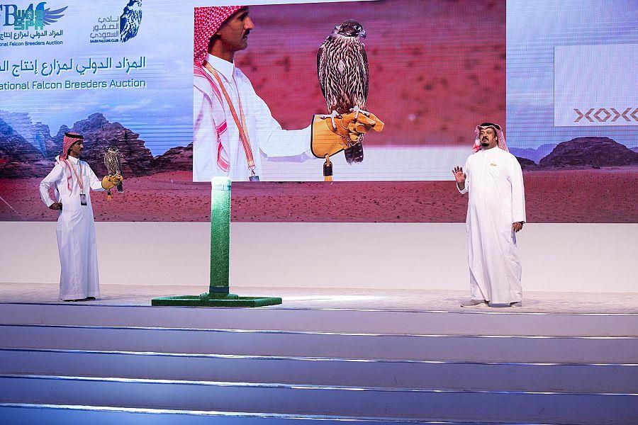 بيع صقرين بـ71 ألف ريال في المزاد الدولي لإنتاج الصقور بالرياض